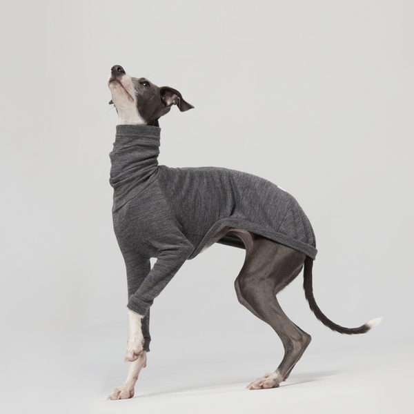 mogopet  dog wear dog clothing 犬の服 犬の服饰