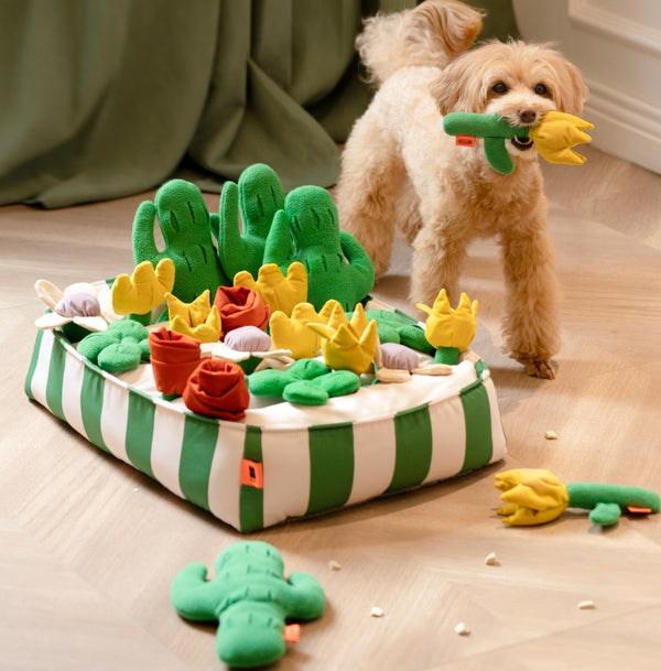 mogopet  Dog toys 犬 用品 犬の玩具