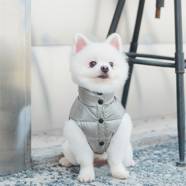 mogopet  dog wear dog clothing 犬の服 犬の服饰