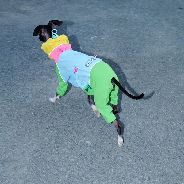 mogopet  dog wear dog clothing 犬の服 犬の服饰