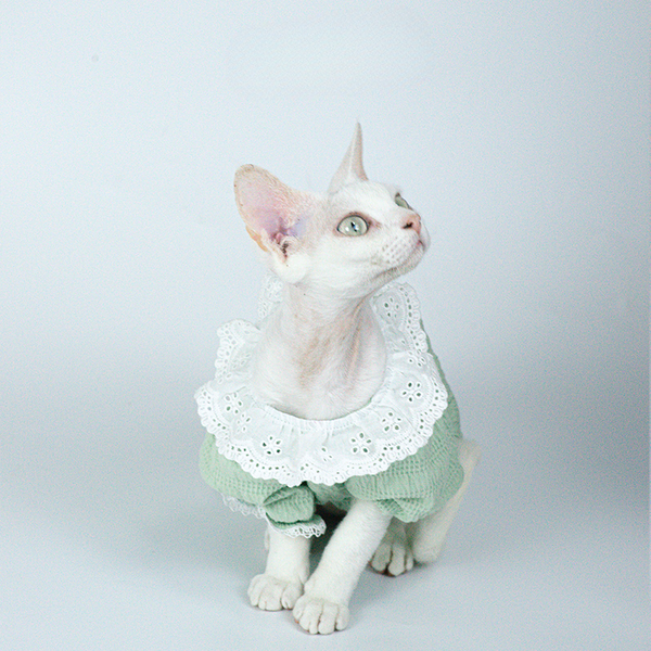 mogopet  cat wear cat clothing 猫の服 猫の服饰