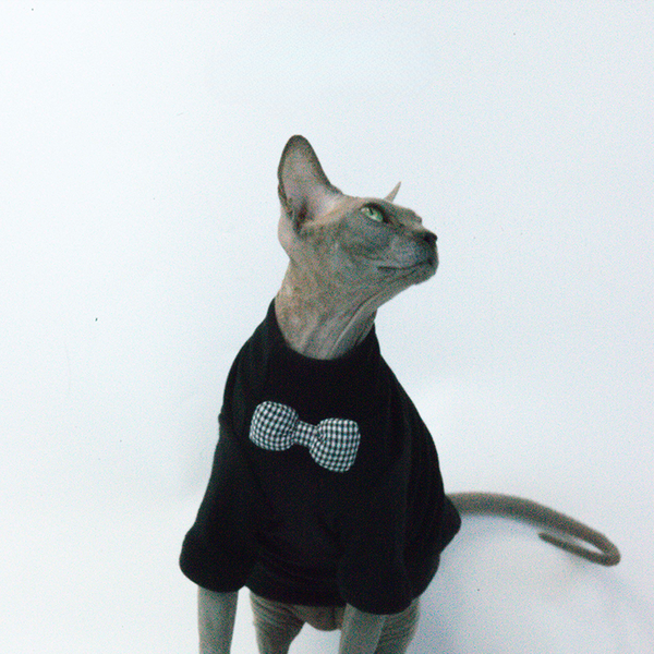 mogopet  cat wear cat clothing 猫の服 猫の服饰