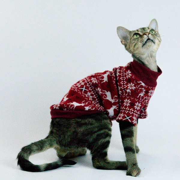 mogopet  cat wear cat clothing 猫の服 猫の服饰