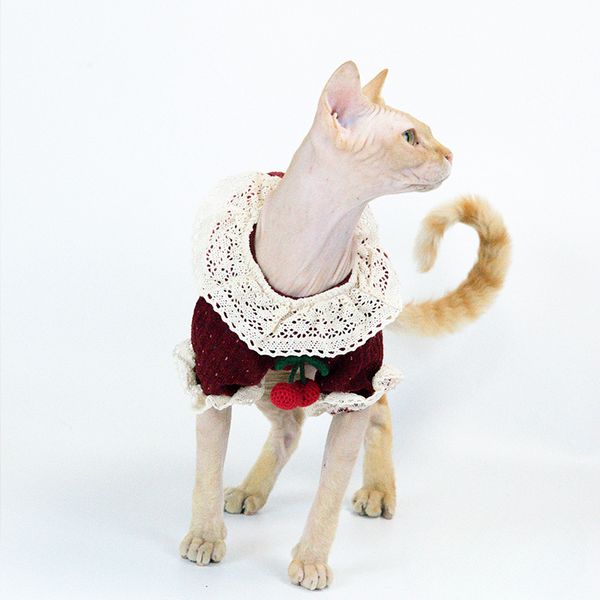 mogopet  cat wear cat clothing 猫の服 猫の服饰