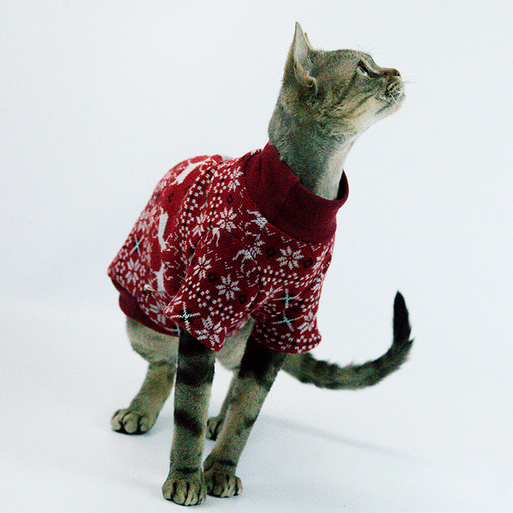 mogopet  cat wear cat clothing 猫の服 猫の服饰