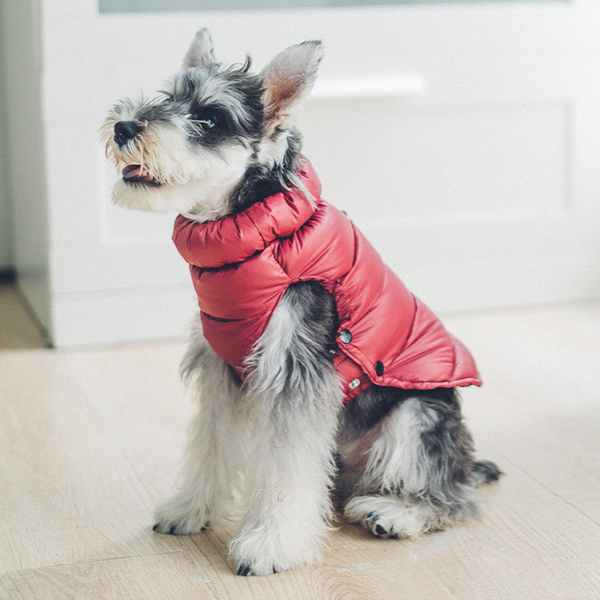 mogopet  dog wear dog clothing 犬の服 犬の服饰