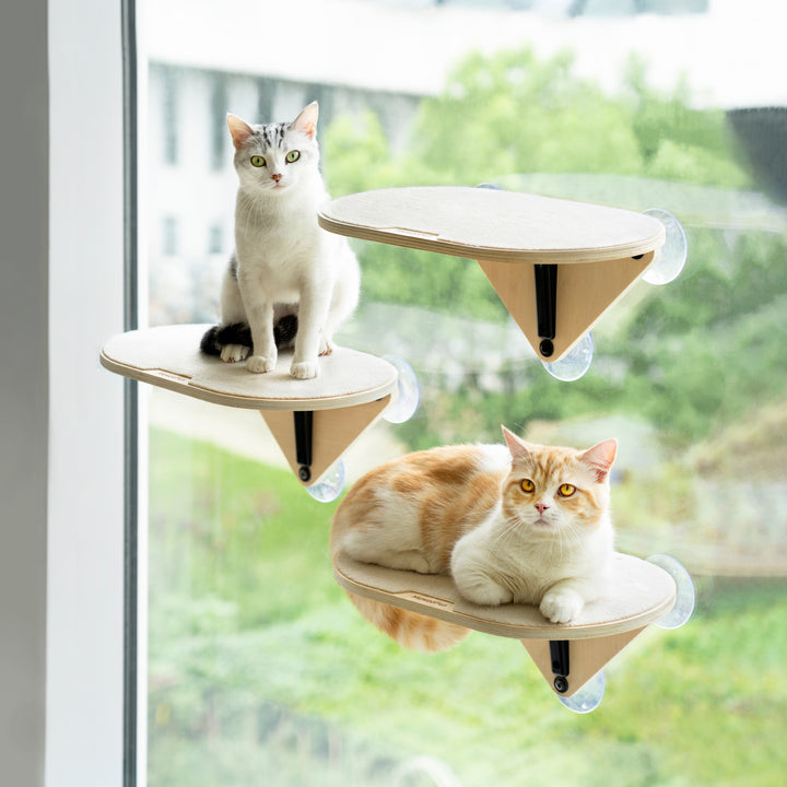 mogopet  Cat Glass Skywalk  猫用ガラススカイウォーク