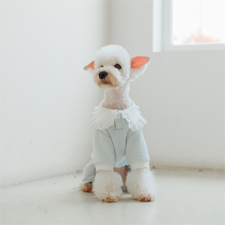 mogopet  dog wear dog clothing 犬の服 犬の服饰