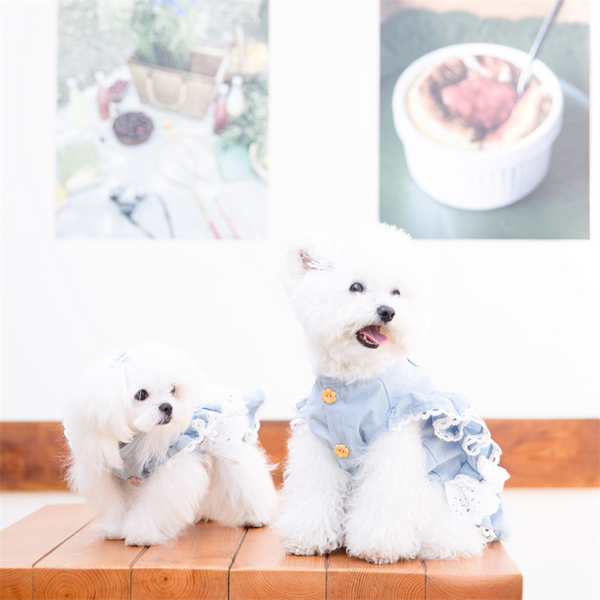 mogopet  dog wear dog clothing 犬の服 犬の服饰