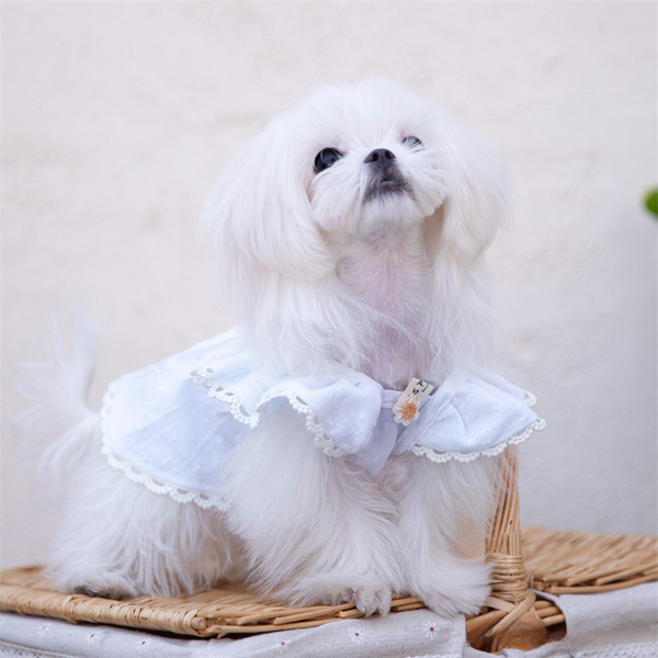 mogopet  dog wear dog clothing 犬の服 犬の服饰