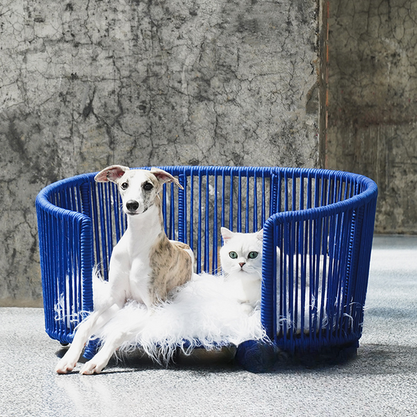 mogopet Dog Bed Dog House 犬のベッド 犬小屋 