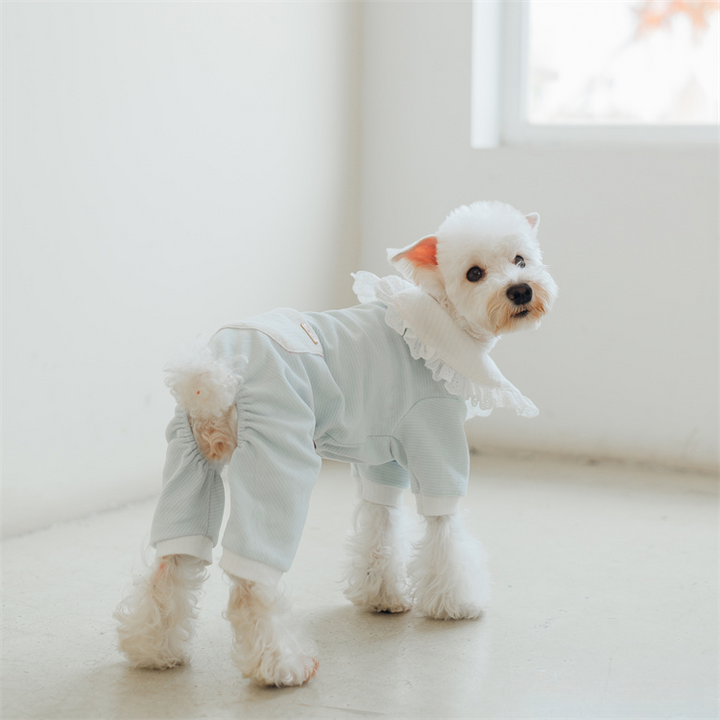 mogopet  dog wear dog clothing 犬の服 犬の服饰