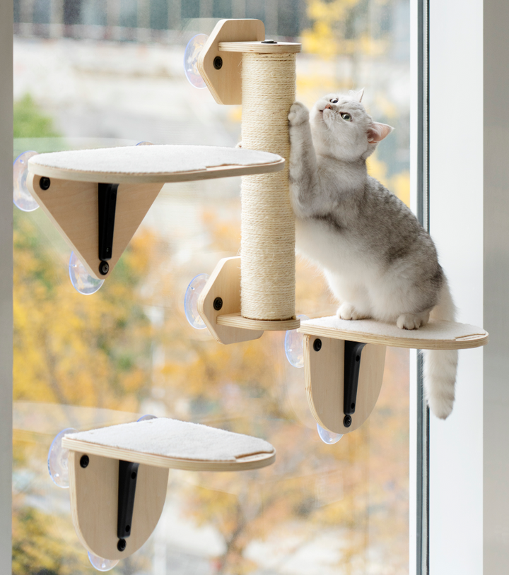 mogopet  Cat Glass Skywalk  猫用ガラススカイウォーク