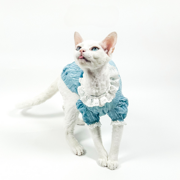 mogopet  cat wear cat clothing 猫の服 猫の服饰