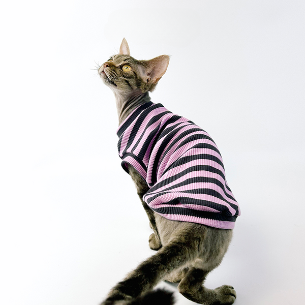 mogopet  cat wear cat clothing 猫の服 猫の服饰